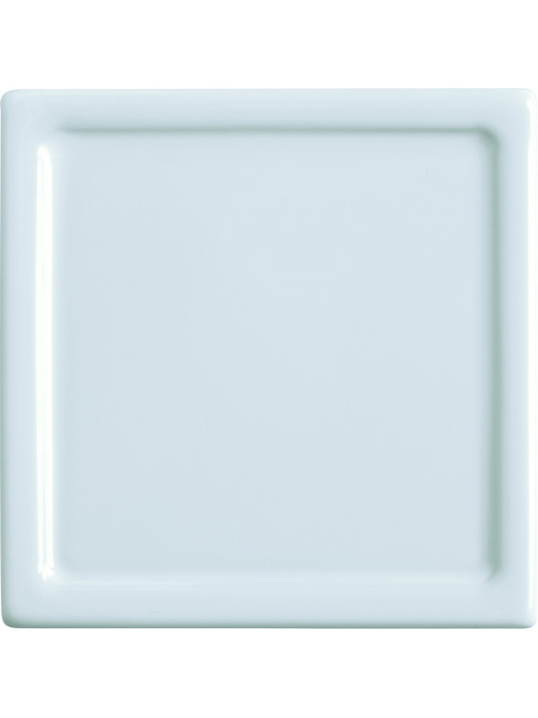 Photoplate, porcelain picture, integrated porcelain frame