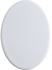 Photo sur porcelaine, image en porcelaine, image funéraire, ovale, céramique, articles funéraires