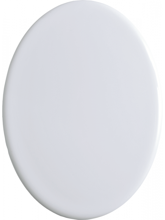 Fotografía de porcelana, cuadro de porcelana, fotografía de tumba, ovalada, cerámica, artículos funerarios