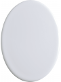 Fotografía de porcelana, cuadro de porcelana, fotografía de tumba, ovalada, cerámica, artículos funerarios