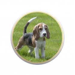 Image funéraire, carrée -  - Porzellanfoto Hemp