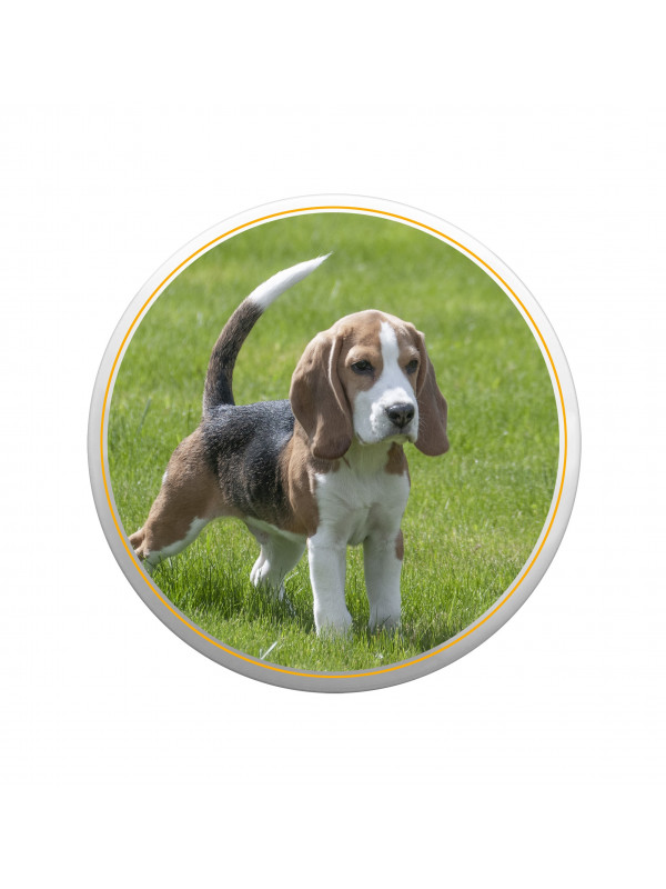 Tableau en porcelaine, rond