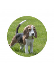 Porcelánový obraz, okrúhly