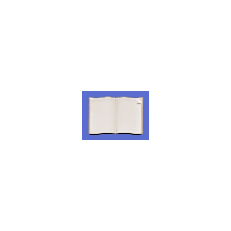 Alt text for livres: a high-quality Livres et parchemins pour la conception individuelle.Nous vous proposons volontiers une offre personnalisée. available at Porzellanfoto Hemp.