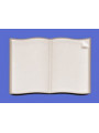 Alt text for livres: a high-quality Livres et parchemins pour la conception individuelle.Nous vous proposons volontiers une offre personnalisée. available at Porzellanfoto Hemp.
